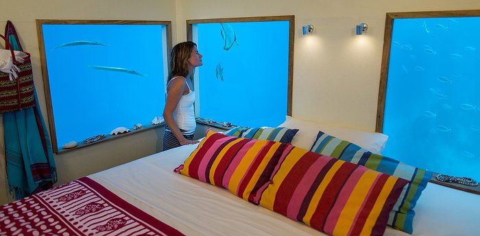 Read more about the article Dive into Adventure: Experience the Thrill of The Underwater Room at The Manta Resort